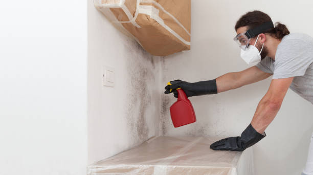 Professional Bathroom Mold Removal technician working in Olivia, NC